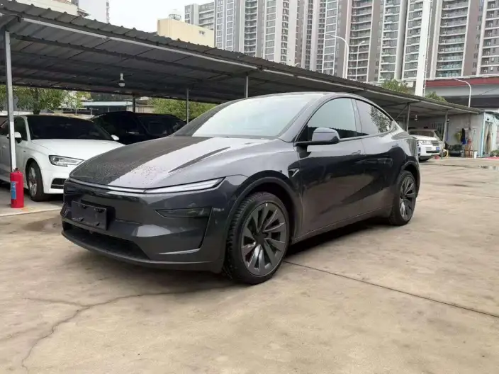 Model Y 2026 Model Long Battery Life Pro All-wheel drive version – фото 1