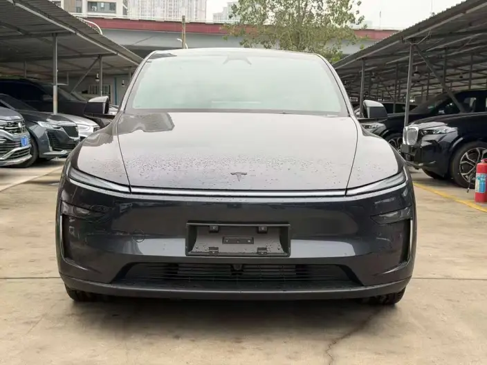 Model Y 2026 Model Long Battery Life Pro All-wheel drive version – фото 2