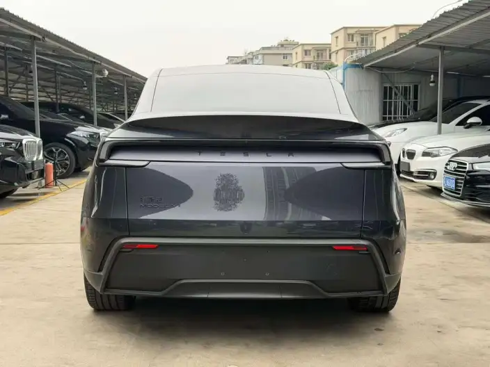 Model Y 2026 Model Long Battery Life Pro All-wheel drive version – фото 5