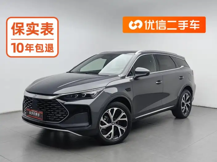 BYD Tang DM 2025 Model DM-i 115KM Flagship Model – фото 1