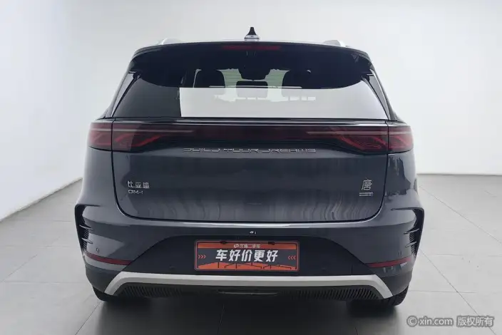BYD Tang DM 2025 Model DM-i 115KM Flagship Model – фото 3