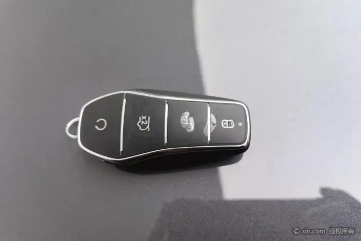 BYD Tang DM 2025 Model DM-i 115KM Flagship Model – фото 6