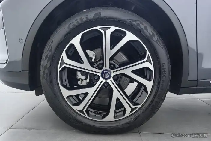 BYD Tang DM 2025 Model DM-i 115KM Flagship Model – фото 8
