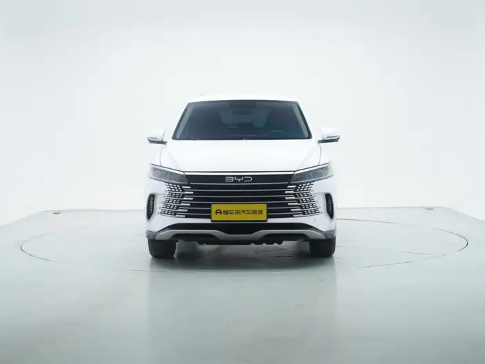Haise 05DM 2025 Model DM-i 75KM Luxury Model – фото 2