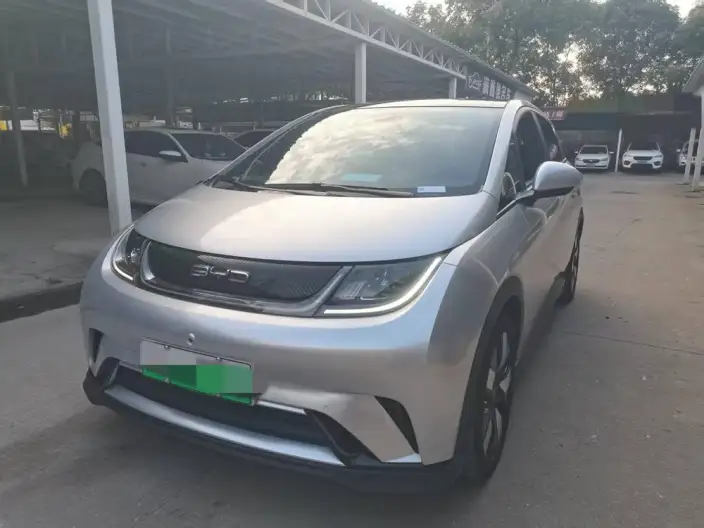 BYD Dolphin 2021 Model Knight Edition – фото 1