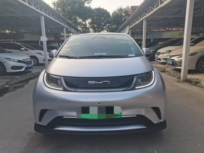 BYD Dolphin 2021 Model Knight Edition – фото 2