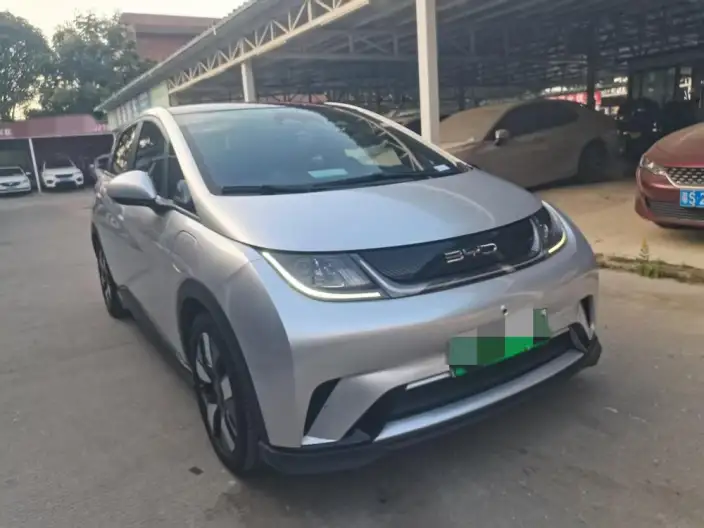 BYD Dolphin 2021 Model Knight Edition – фото 3