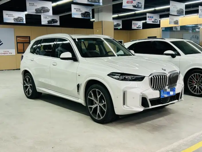 BMW X5 2023 Model xDrive30Li Exclusive Model M Sports Set – фото 3