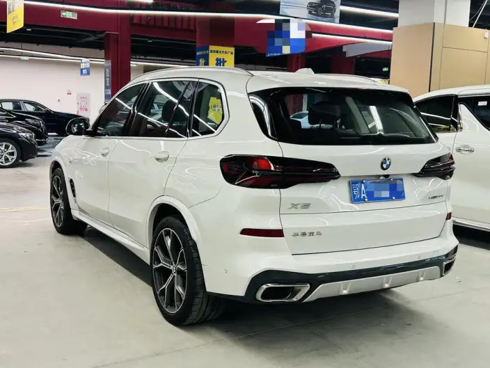 BMW X5 2023 Model xDrive30Li Exclusive Model M Sports Set – фото 4