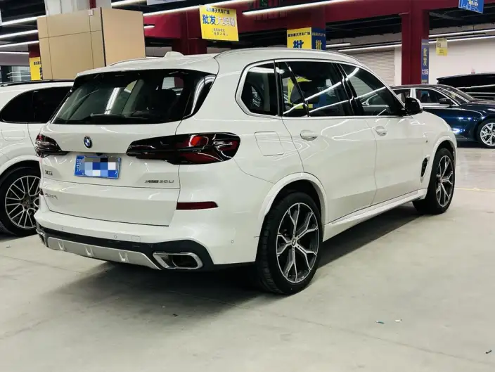 BMW X5 2023 Model xDrive30Li Exclusive Model M Sports Set – фото 6