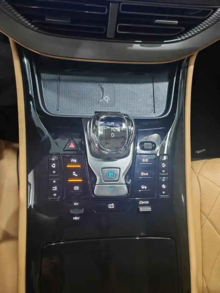 DENZA D9 DM 2024 Model 1050 Exclusive Model – фото 6