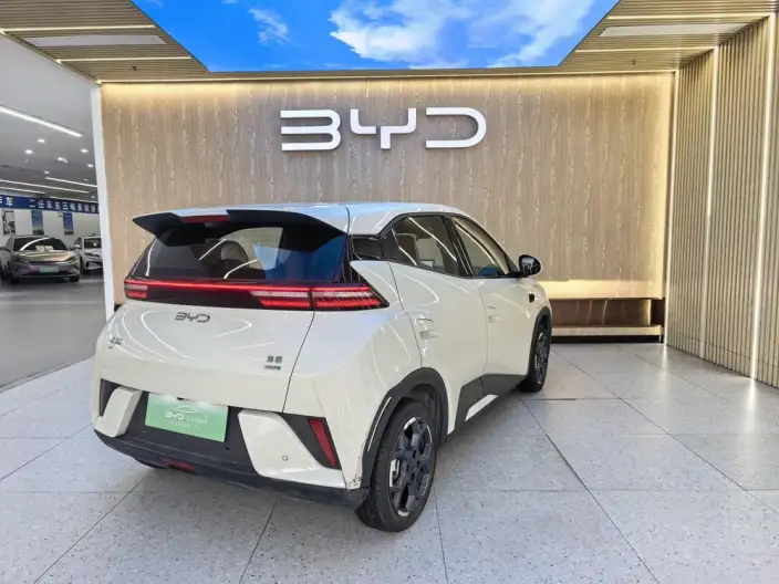 BYD Seagull 2025 Model Smart Driving Edition 405KM Feixiang Edition – фото 5