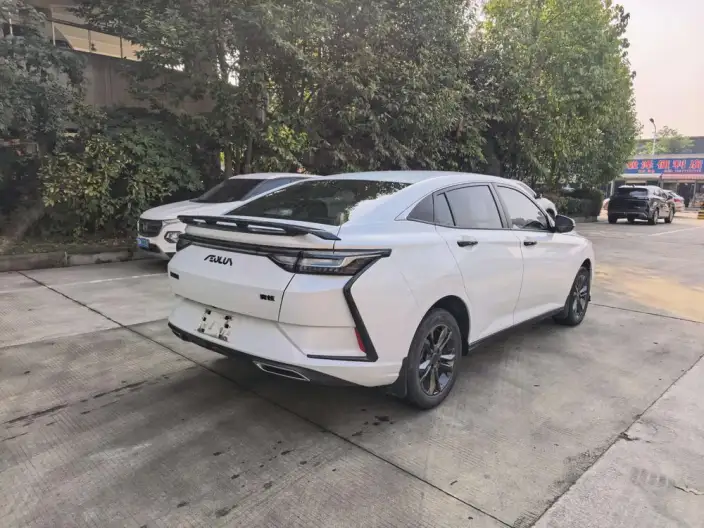 Yixuan 2024 Model 1.5L Automatic Speed Edition – фото 5