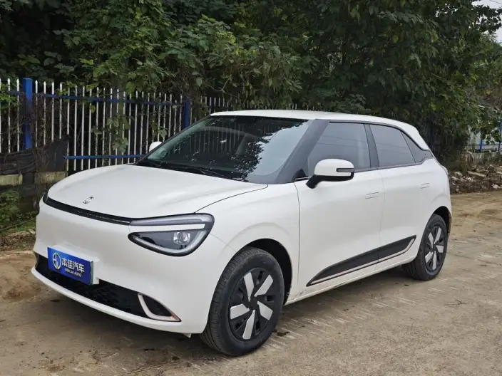 Dongfeng Nano 01 2025 Model 330km Youth Edition – фото 1