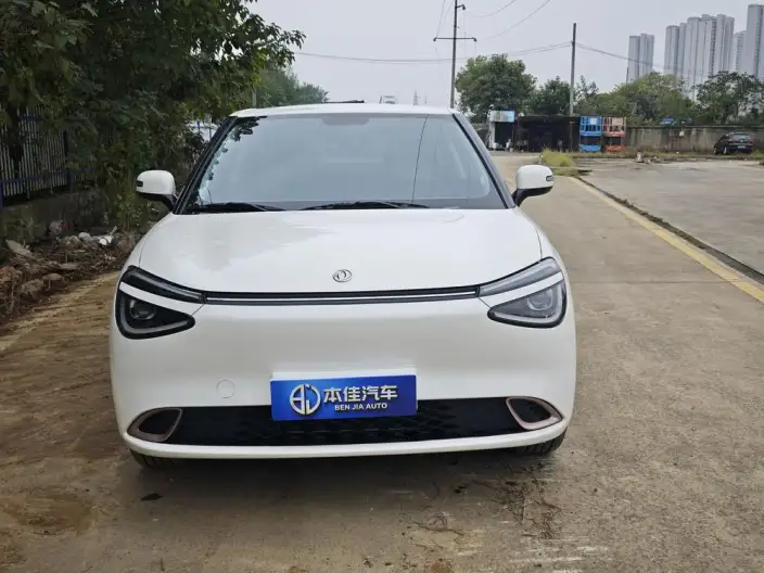 Dongfeng Nano 01 2025 Model 330km Youth Edition – фото 2