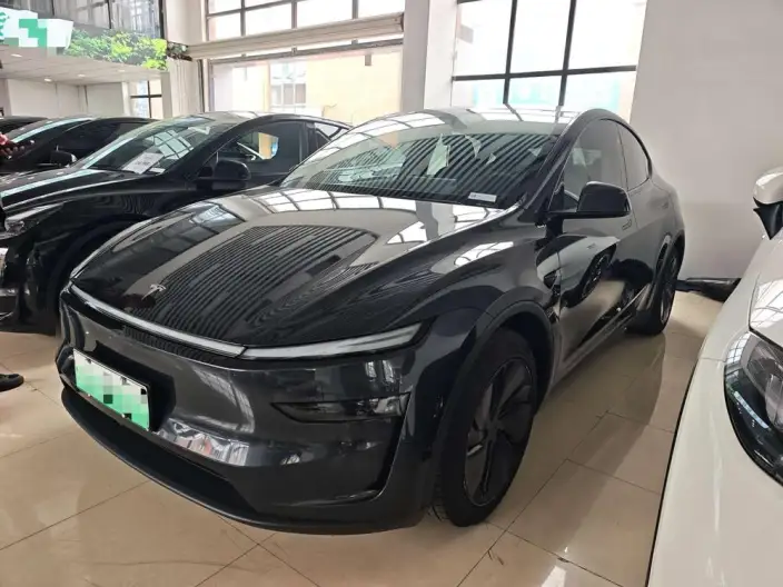 Model Y 2025 Model Rear-wheel drive version – фото 1