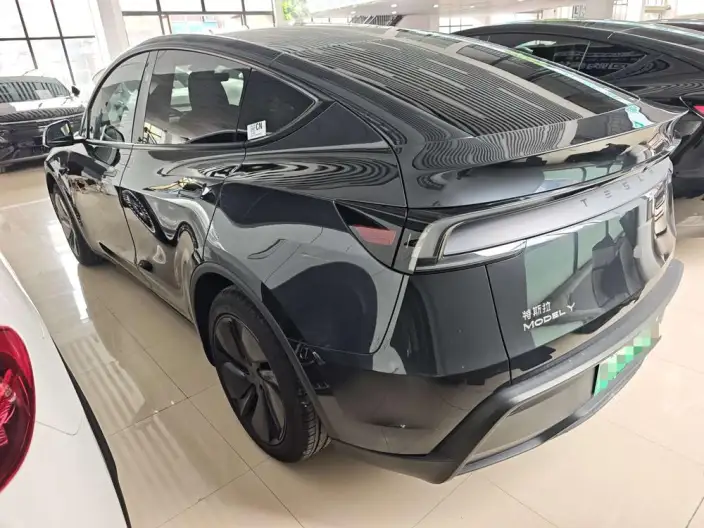 Model Y 2025 Model Rear-wheel drive version – фото 4