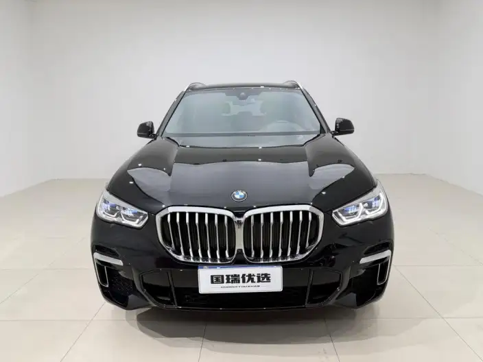 BMW X5 2022 Model Facelift xDrive 40Li M Sports Set – фото 2