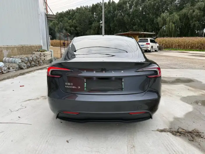 Model 3 2023 Model Rear-wheel drive version – фото 2