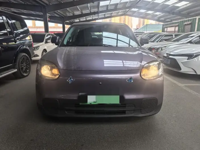 QQ3 EV 2026 Model 310 Reai Edition – фото 2