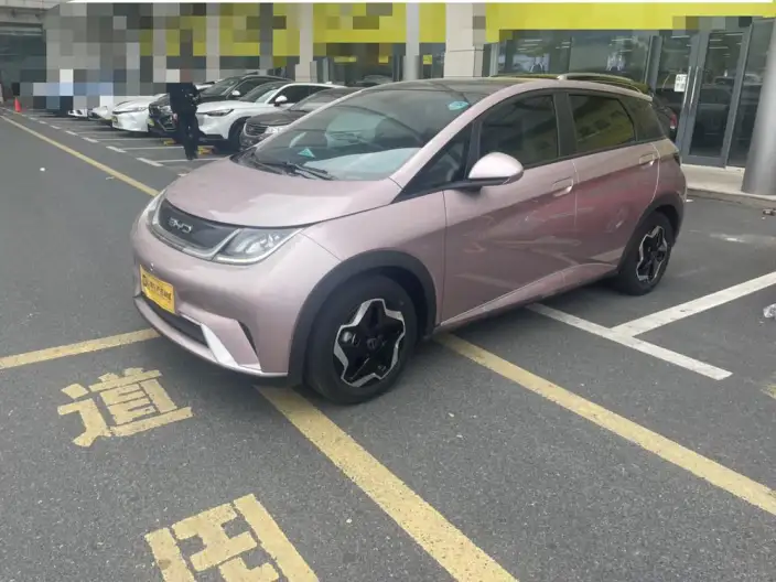 BYD Dolphin 2021 Model Fashion Edition – фото 1