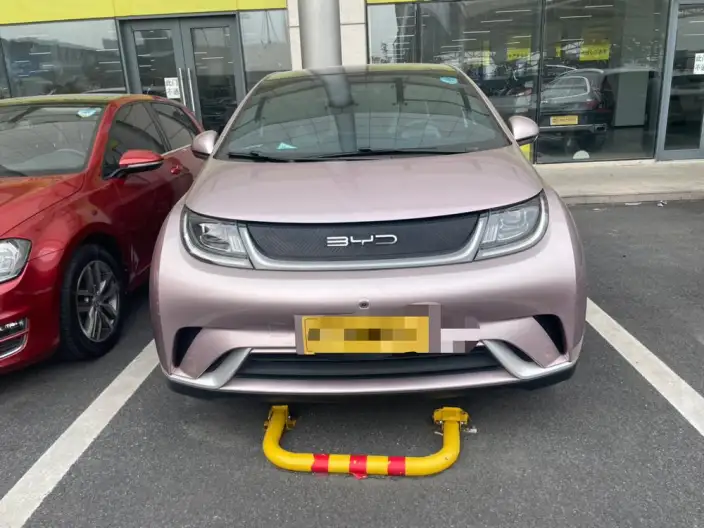 BYD Dolphin 2021 Model Fashion Edition – фото 2