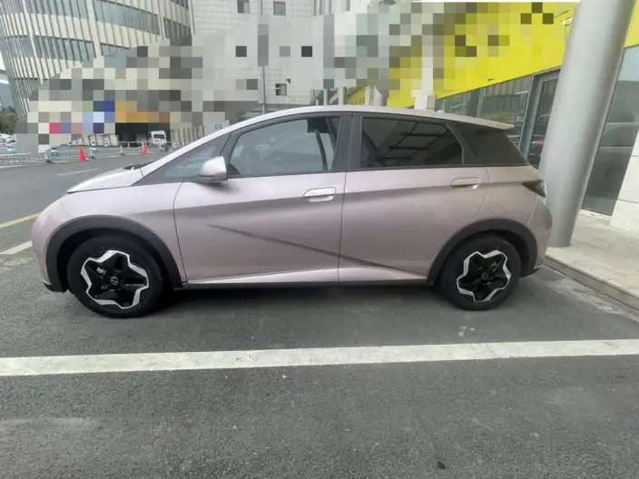 BYD Dolphin 2021 Model Fashion Edition – фото 3