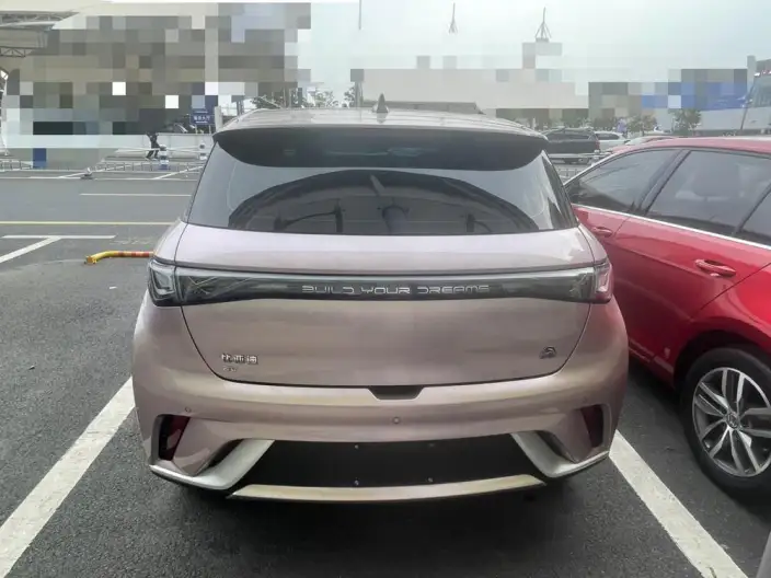 BYD Dolphin 2021 Model Fashion Edition – фото 4