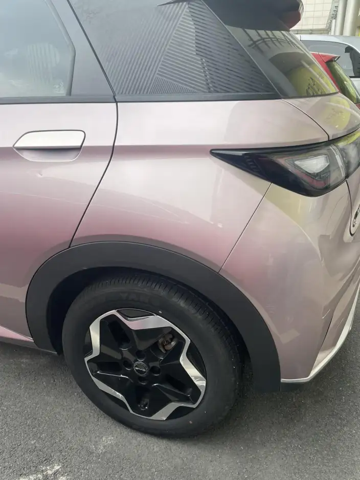 BYD Dolphin 2021 Model Fashion Edition – фото 9