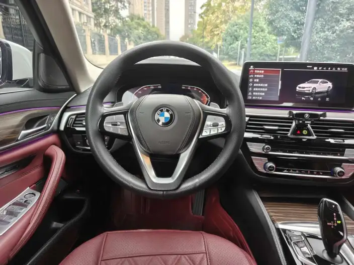 BMW 5 Series 2023 Model 530Li Leading Model Luxury Set – фото 10