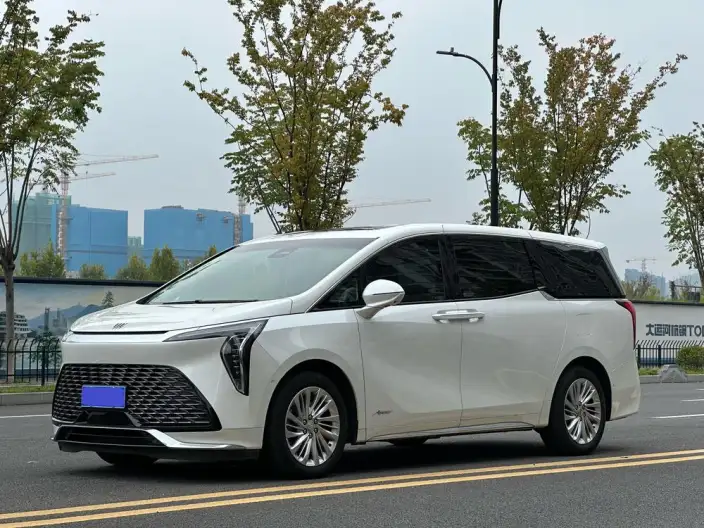 Century 2023 Model 2.0T VI seat Yunshi Edition – фото 1