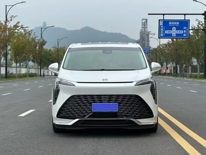 Century 2023 Model 2.0T VI seat Yunshi Edition – фото 2