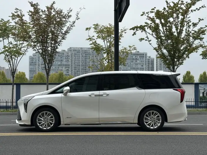 Century 2023 Model 2.0T VI seat Yunshi Edition – фото 4