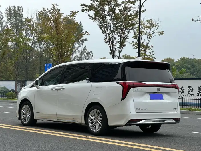 Century 2023 Model 2.0T VI seat Yunshi Edition – фото 5