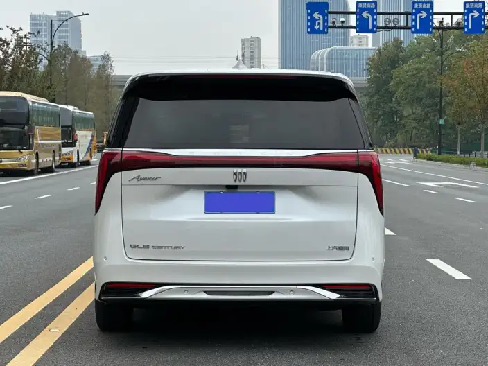 Century 2023 Model 2.0T VI seat Yunshi Edition – фото 6