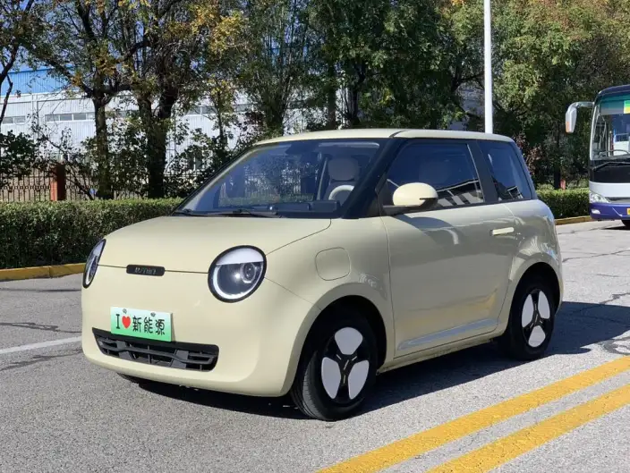 Changan Lumin 2024 Model 205km Voyage Edition