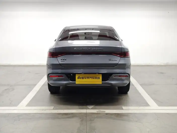 BYD Qin PLUS DM 2024 Model Honor Edition DM-i 55KM Leading Model – фото 6