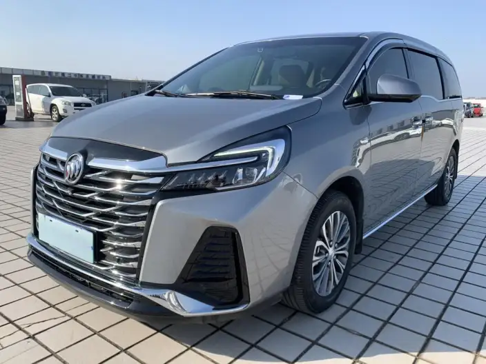 Buick GL8 2023 Model Business class 2.0T Luxury Model – фото 1