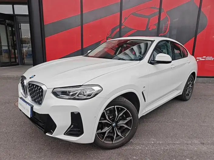 BMW X4 2022 Model xDrive 25i M Sports Set – фото 1