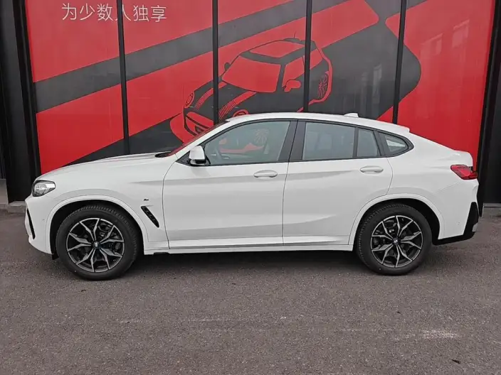 BMW X4 2022 Model xDrive 25i M Sports Set – фото 3