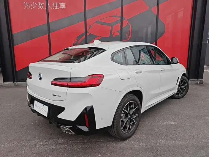 BMW X4 2022 Model xDrive 25i M Sports Set – фото 5