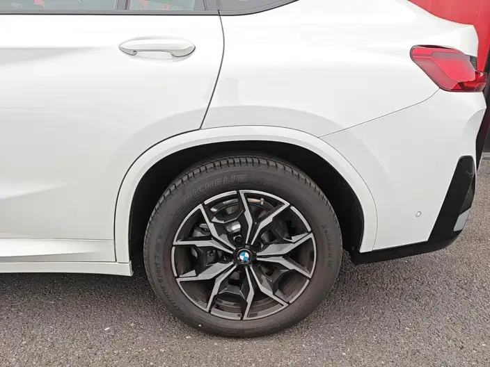 BMW X4 2022 Model xDrive 25i M Sports Set – фото 6