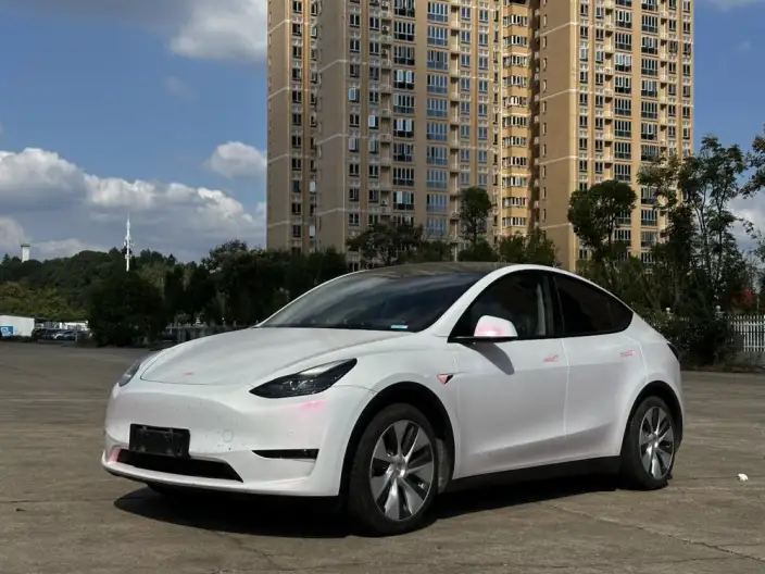 Model Y 2021 Model Standard Battery Life Rear-wheel drive version – фото 1