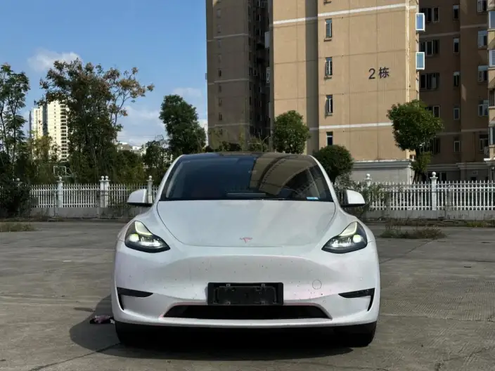 Model Y 2021 Model Standard Battery Life Rear-wheel drive version – фото 2