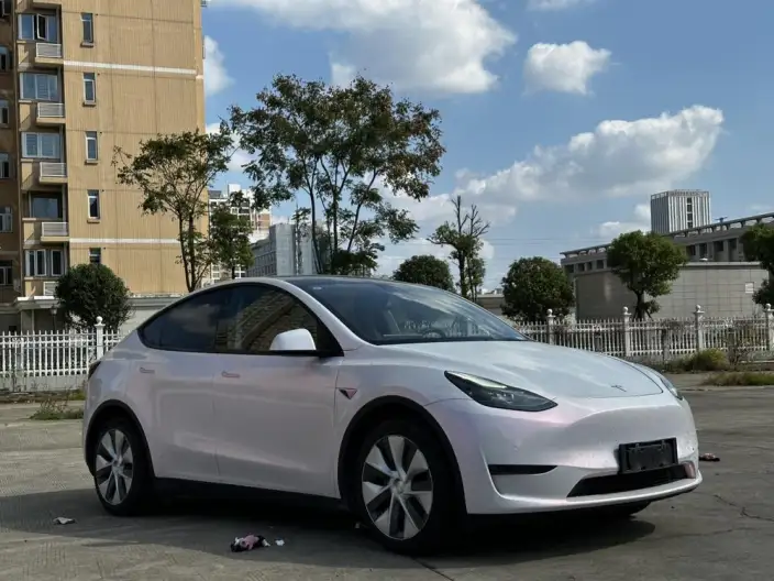 Model Y 2021 Model Standard Battery Life Rear-wheel drive version – фото 3