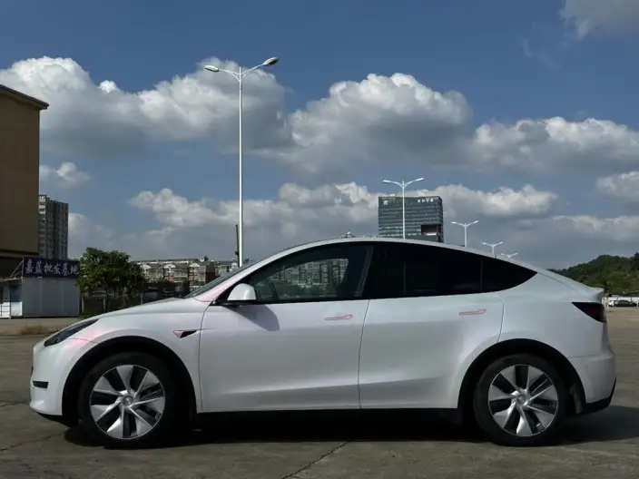Model Y 2021 Model Standard Battery Life Rear-wheel drive version – фото 4