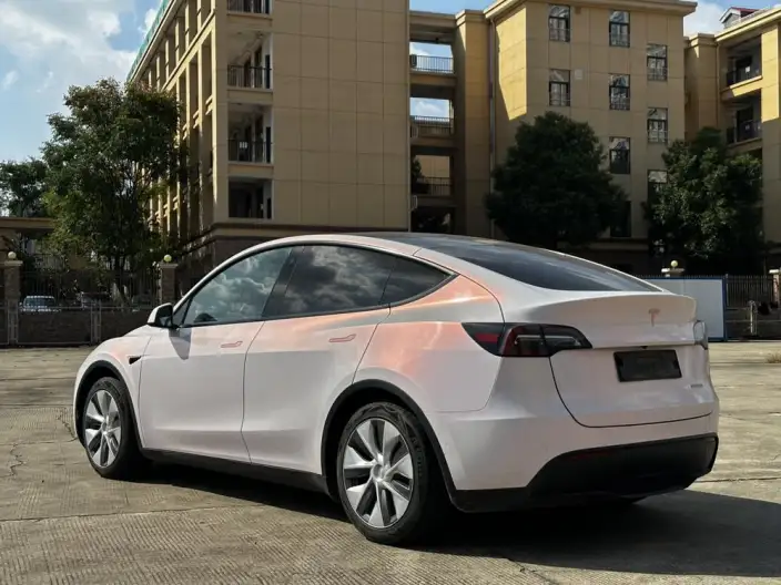 Model Y 2021 Model Standard Battery Life Rear-wheel drive version – фото 5