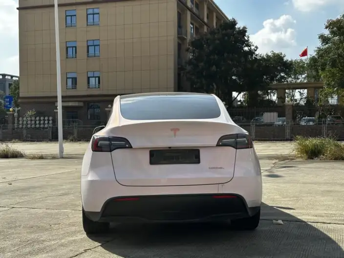 Model Y 2021 Model Standard Battery Life Rear-wheel drive version – фото 6