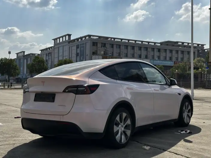 Model Y 2021 Model Standard Battery Life Rear-wheel drive version – фото 7