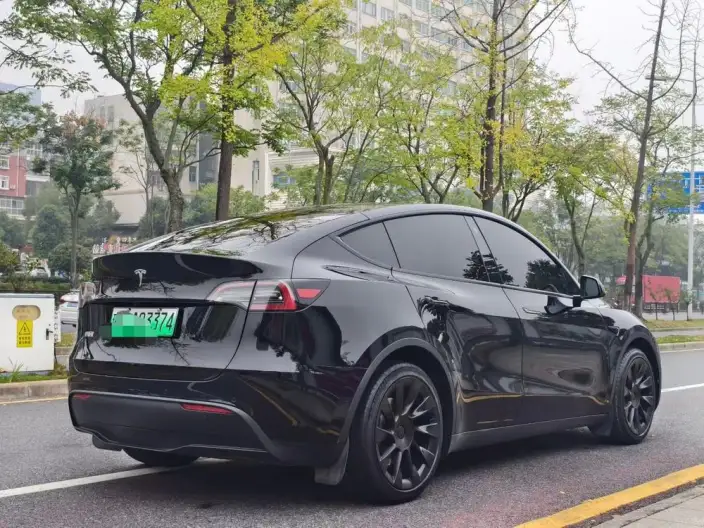 Model Y 2022 Model Facelift Rear-wheel drive version – фото 6
